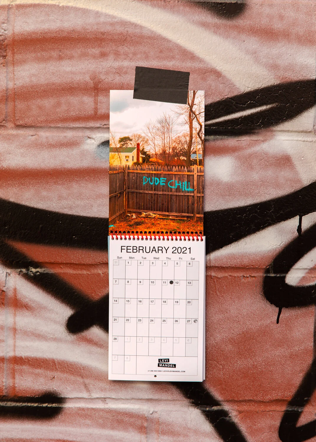 WallFeb_NYT_web.jpg