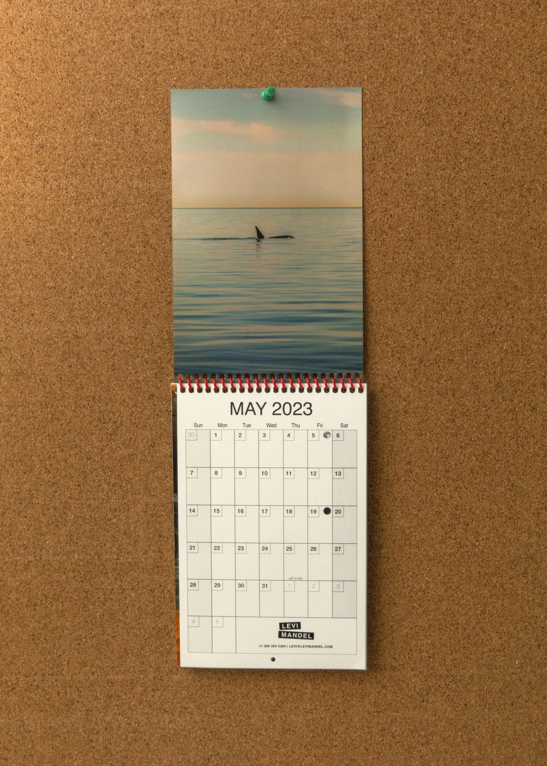 May_1.jpg