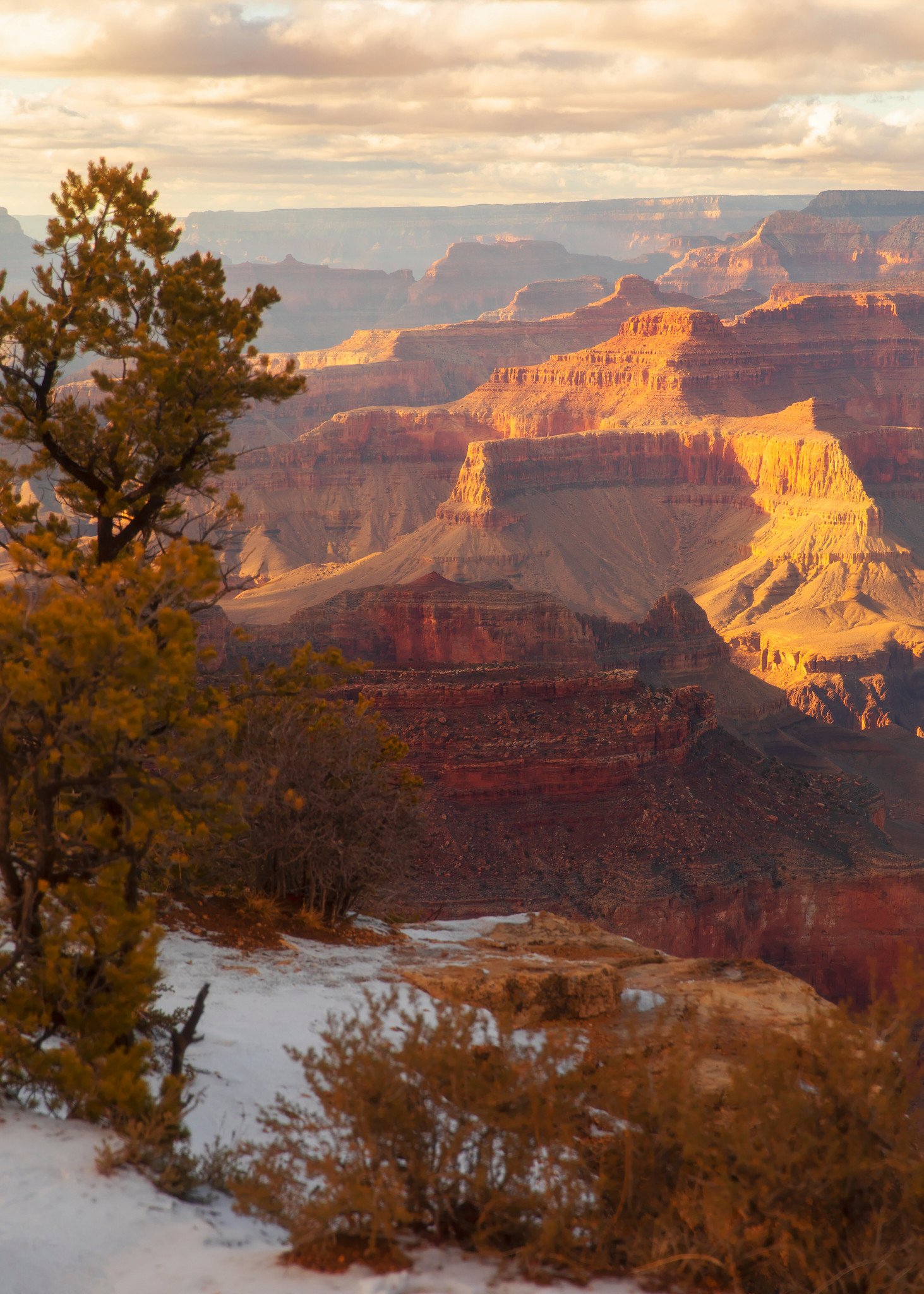 LMandel_GrandCanyon.jpeg