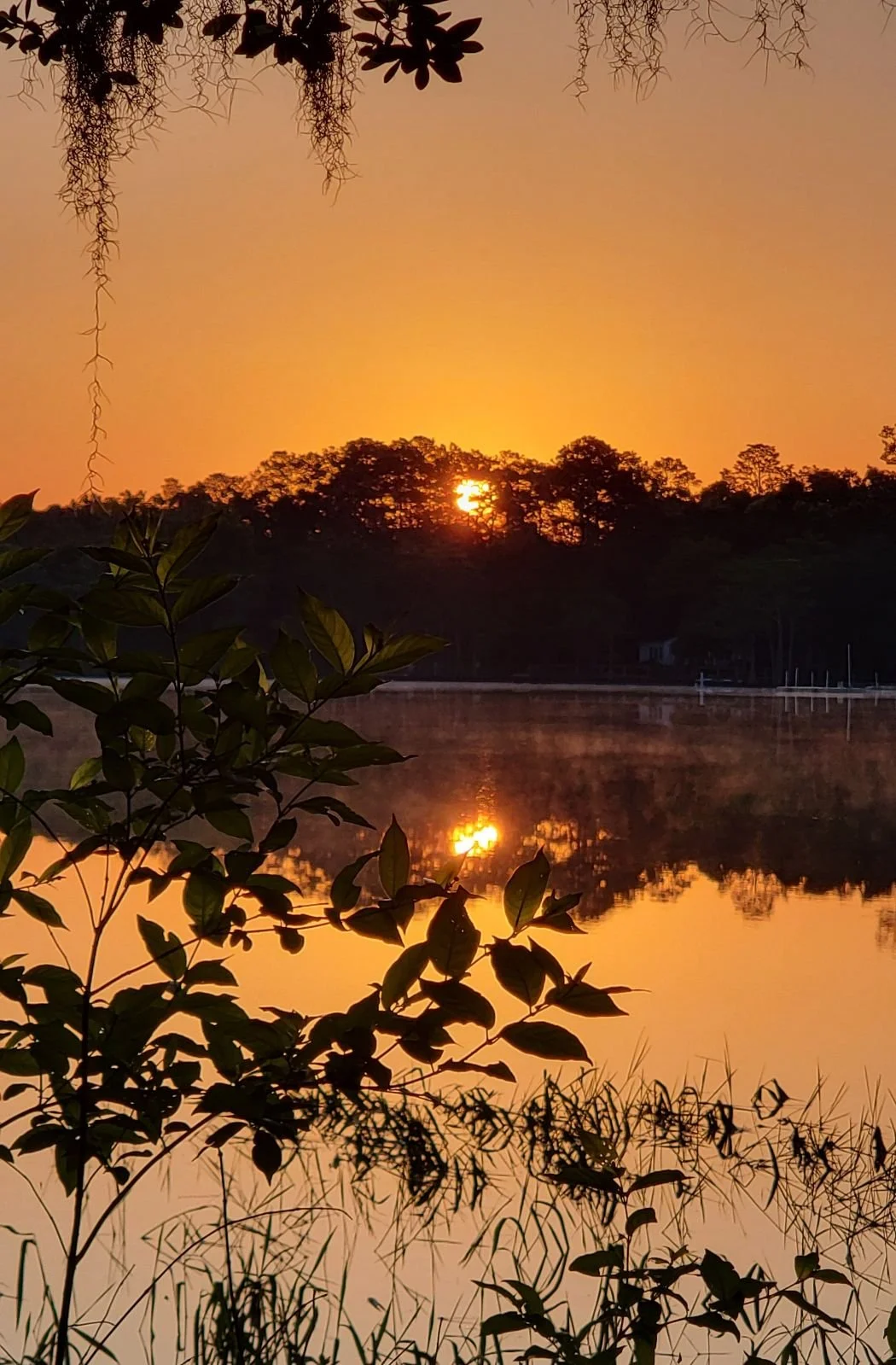 image000001 (1).jpeg