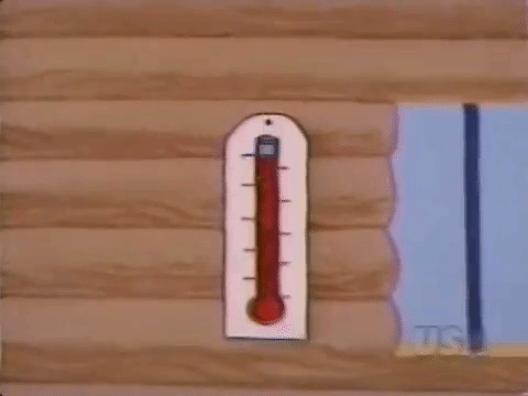thermometer.gif