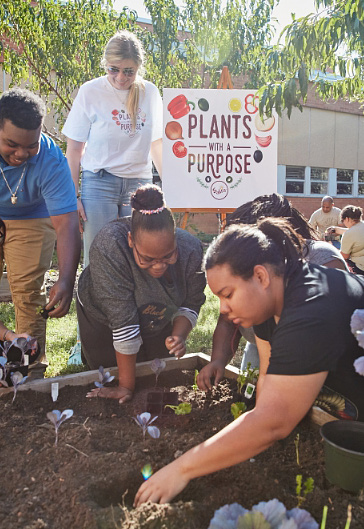 PRNEWSFOTO/SABRA DIPPING COMPANY, LLC Students join volunteers from Sabra and Renew Richmond to build on-site garden. 