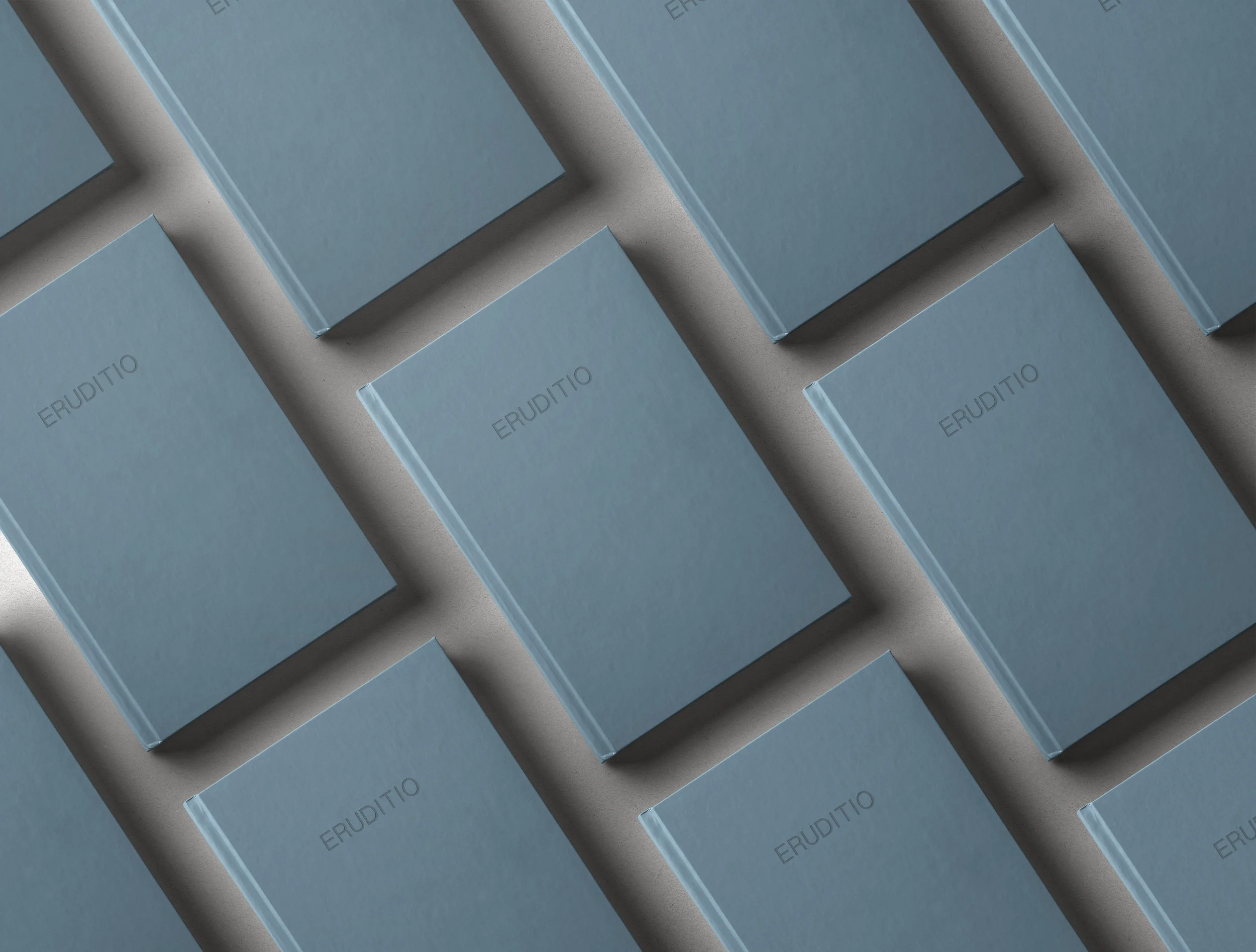 eruditio_mockup2.jpg