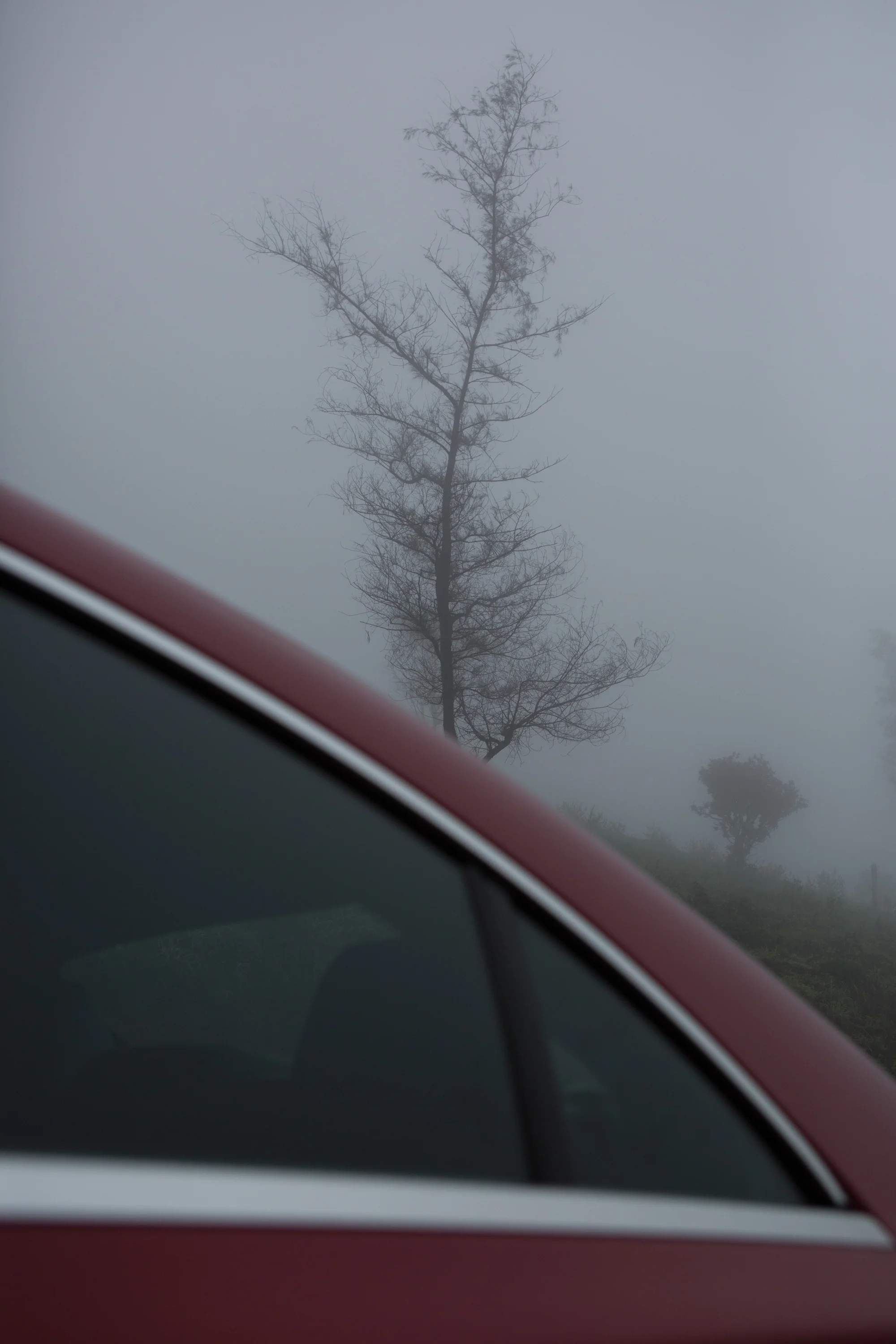 ZAL_1-0615.jpg