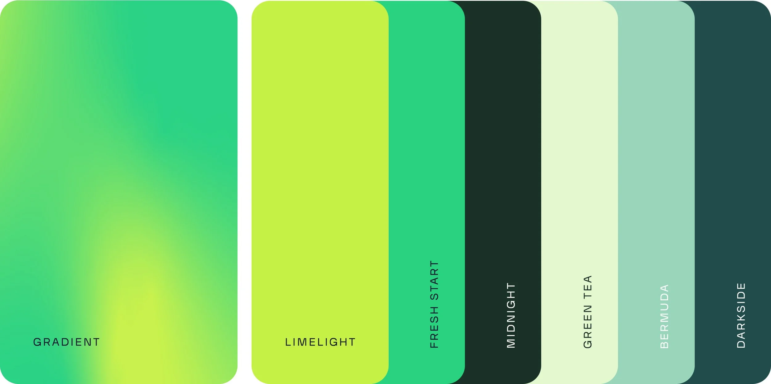 AlliConnect_Color Palette.jpg
