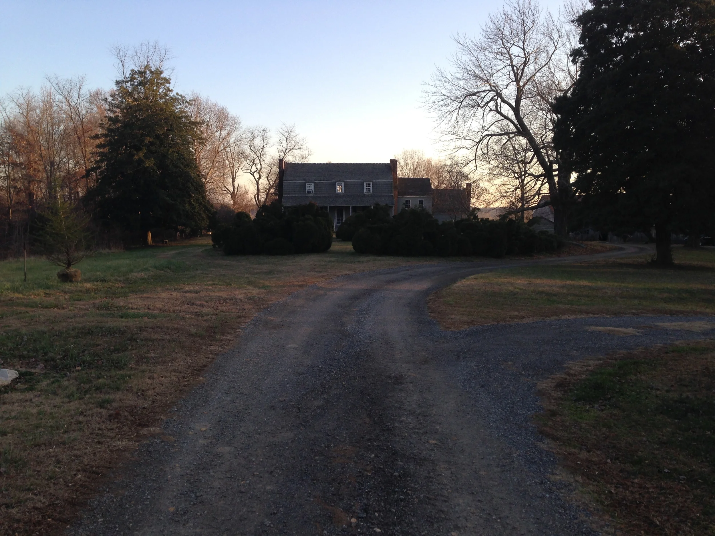 Photo of Wyoming 11/14. Taken during planting of cedrus libani on left. 