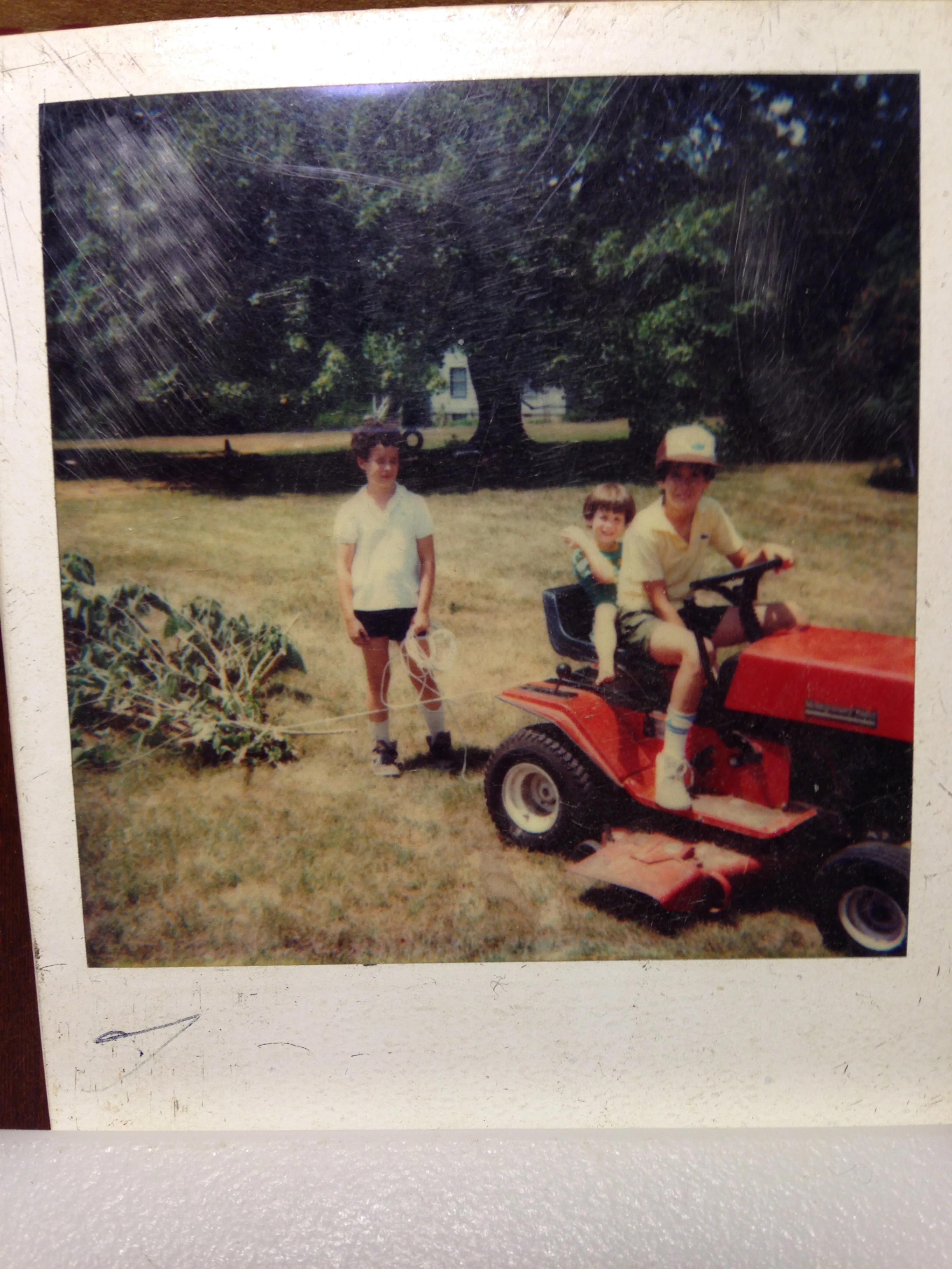 Photo of Dunphy boys as children doing work around farm. 