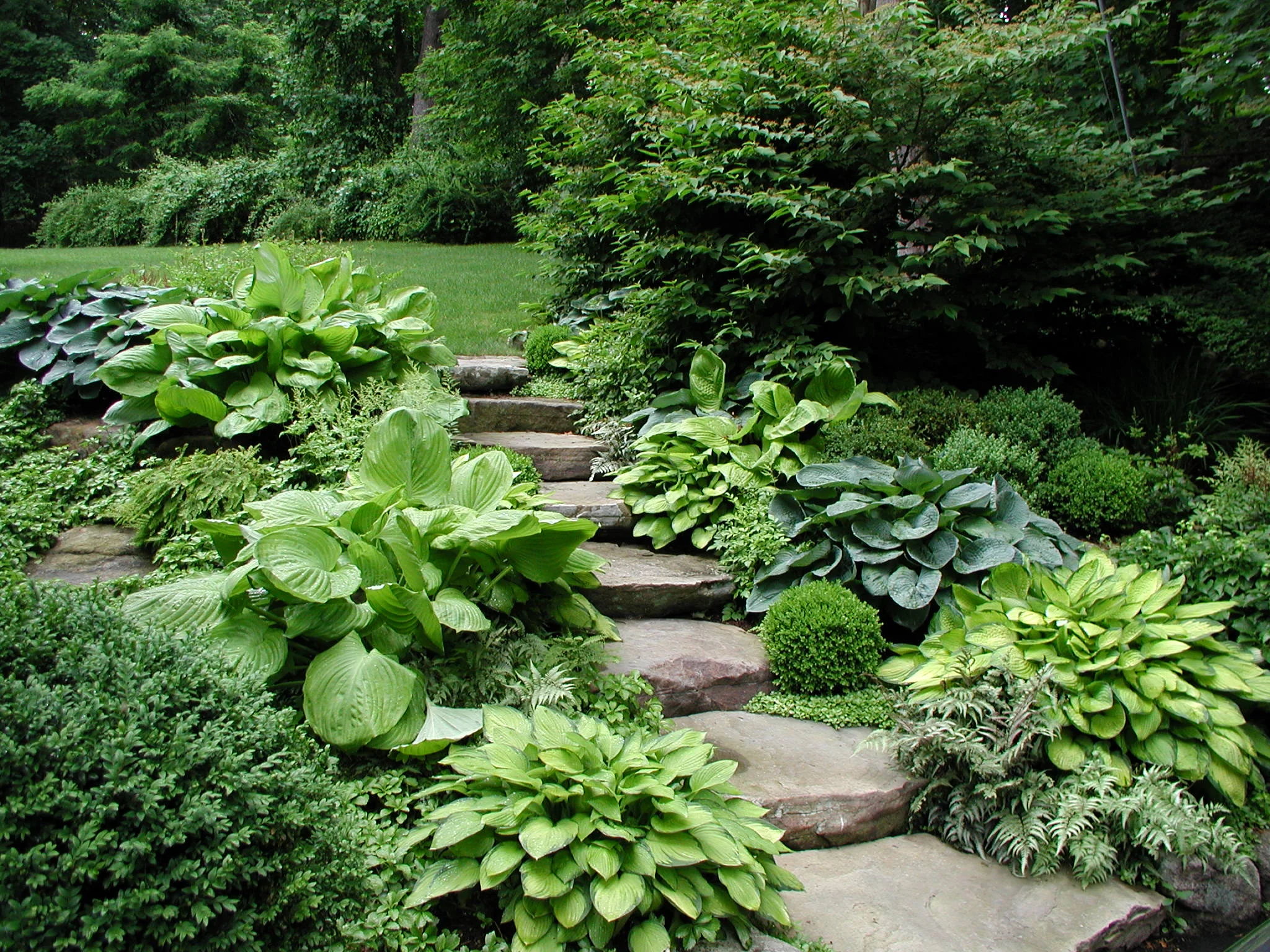 Fieldstone Steps.JPG