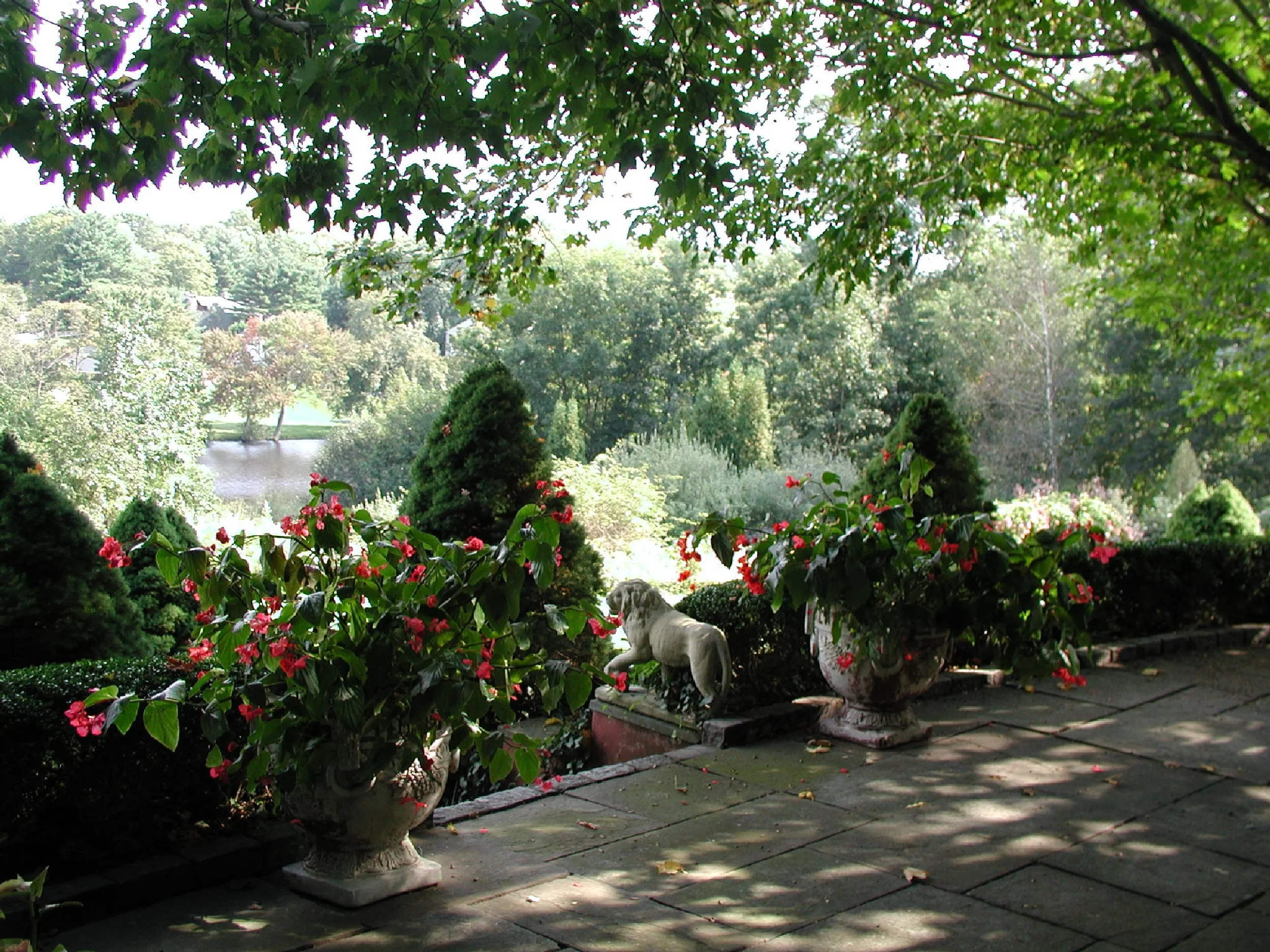 P1010041.JPG