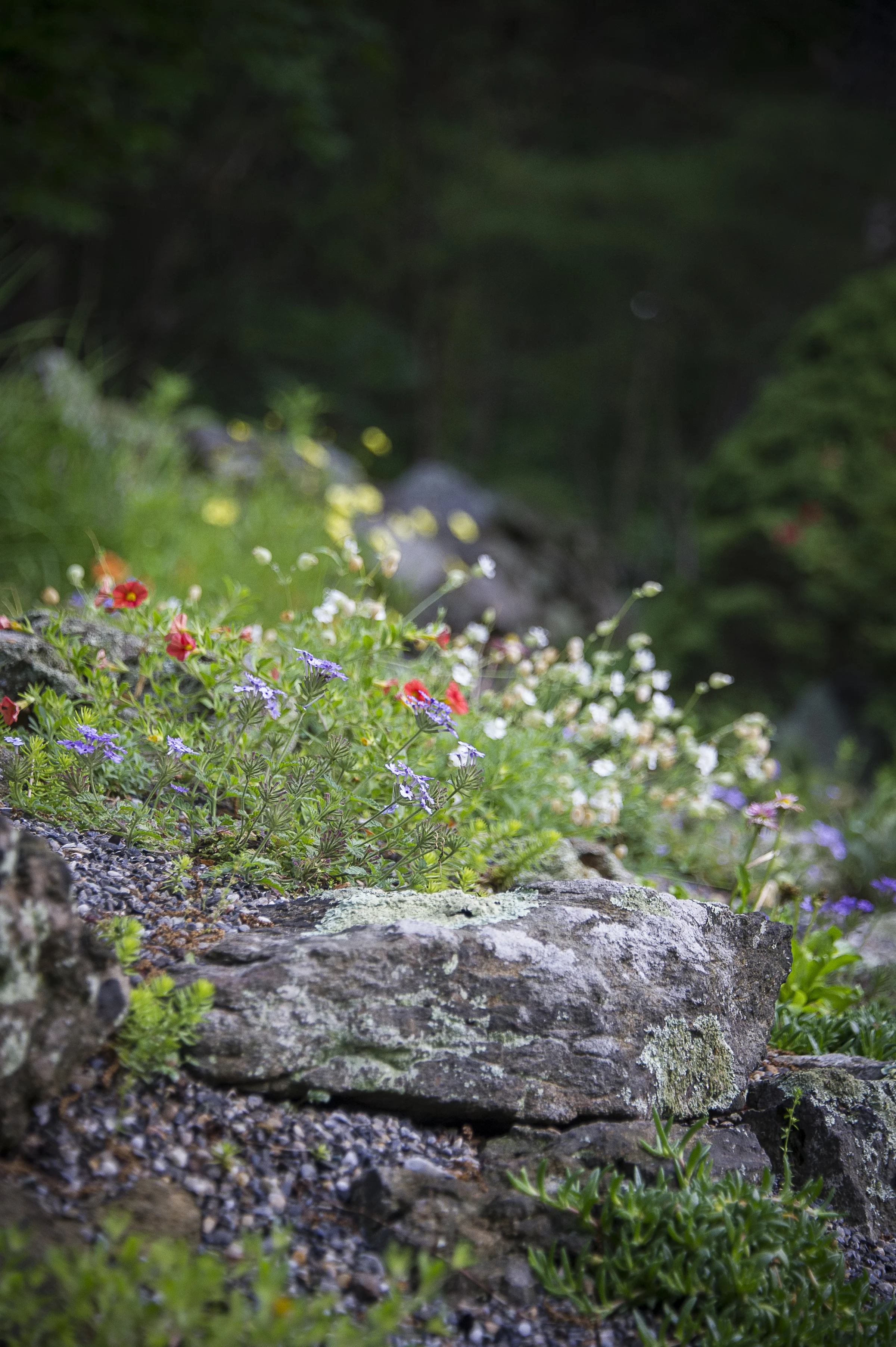 20130616-70.jpg