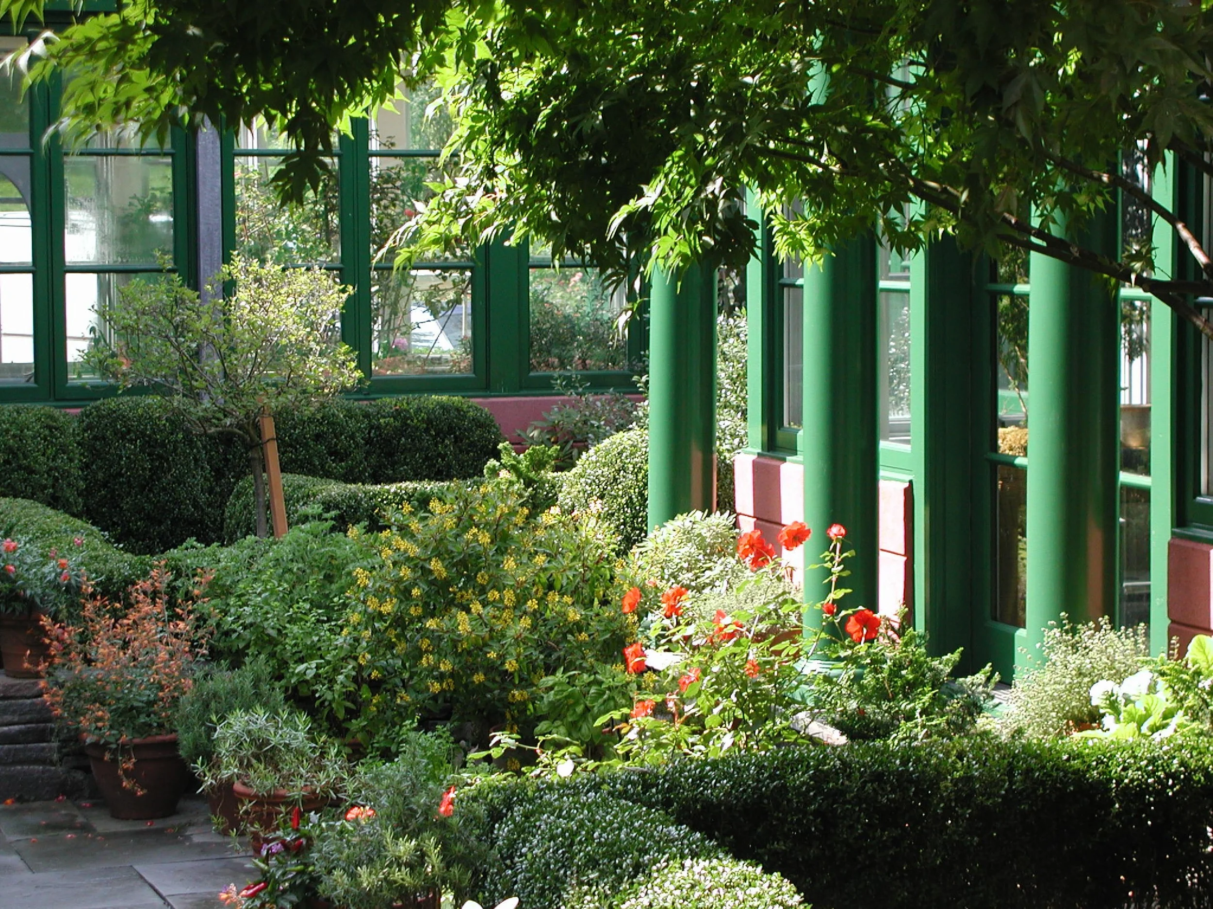 P1010035.jpg