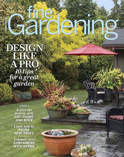 Expert Design Advice: Let Your Senses Guide Your Garden’s Design