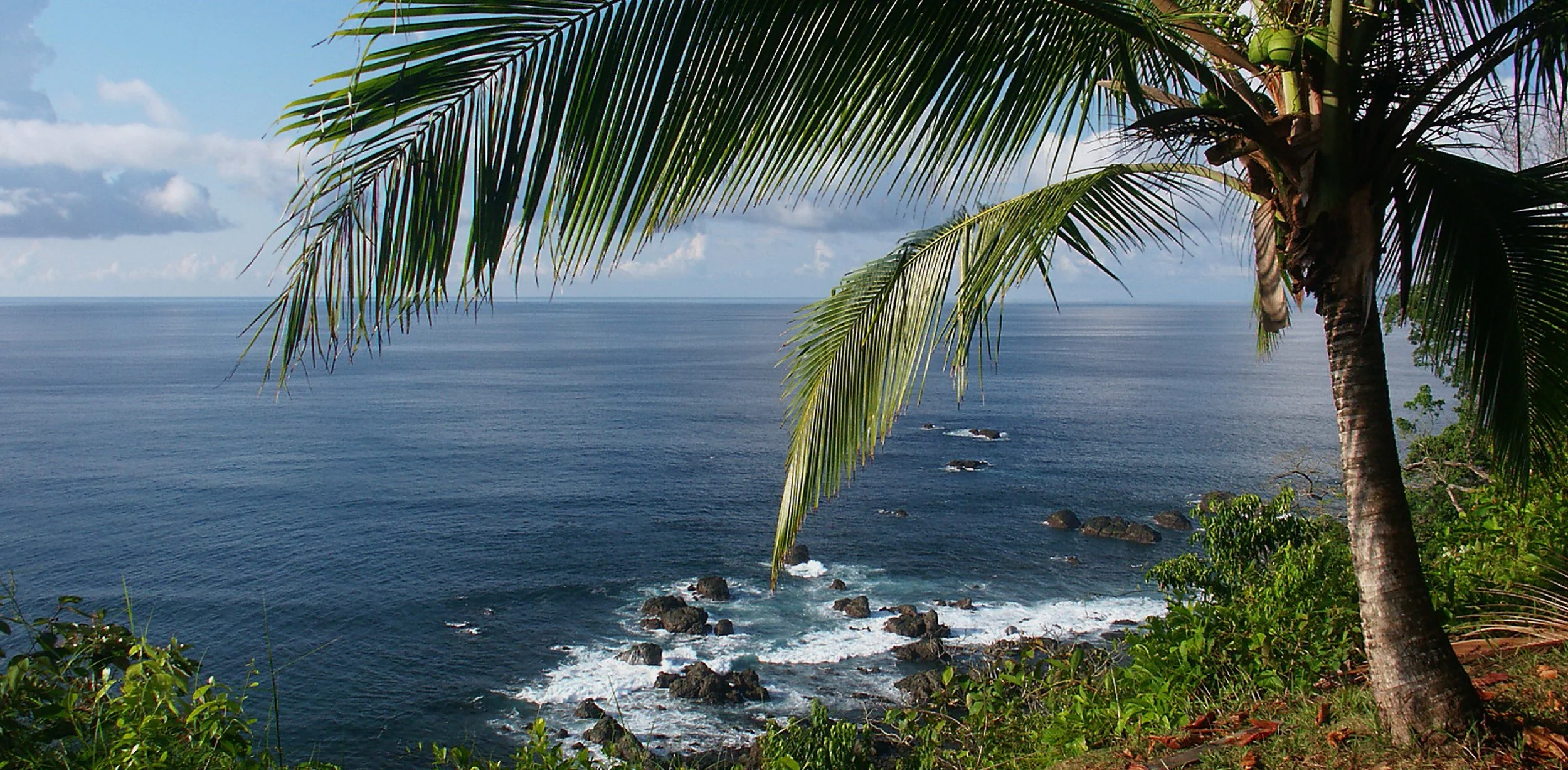 Costa Rica banner.jpg