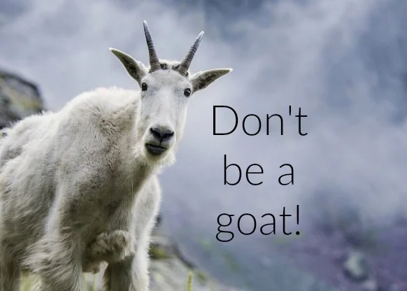 Don't be a goat.jpg