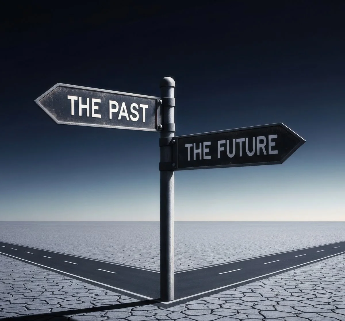 Navigating 21st-Century Challenges by Robin Michael Beach 