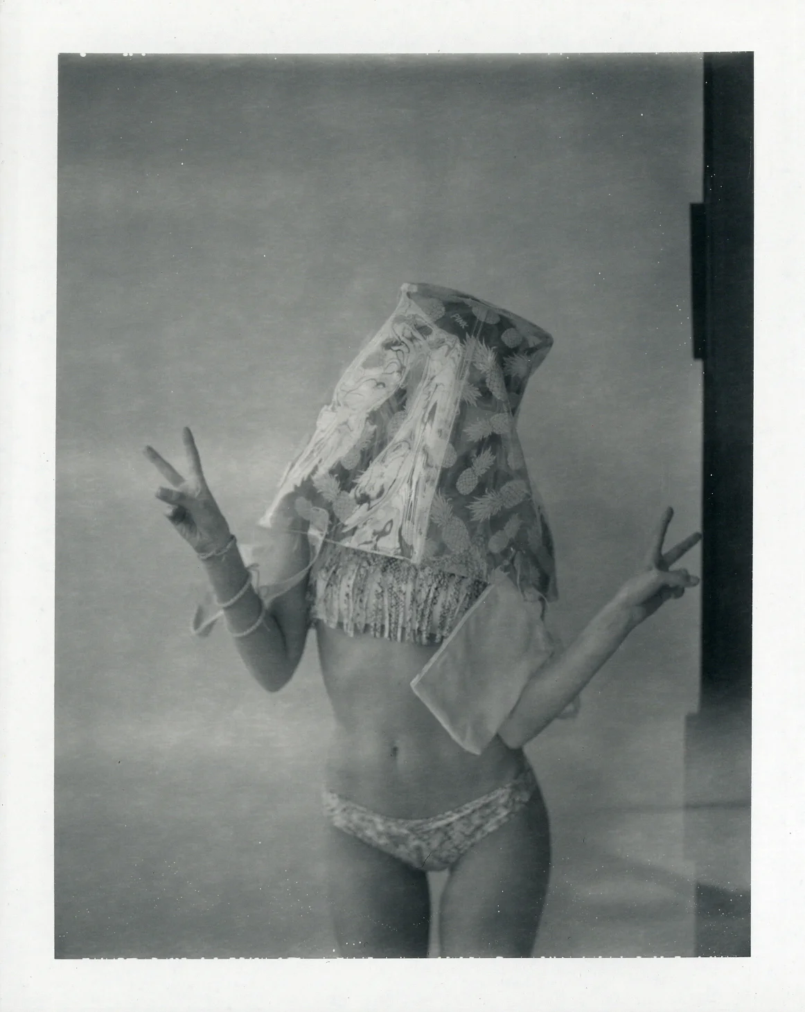 POLA_010.JPG