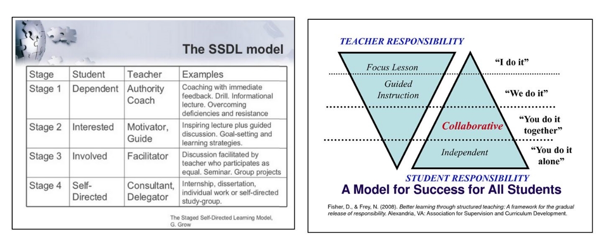  Self-Directed Learning Gradual Release of Responsibility Self-directed learning has everything to do with the responsibility and accountability for learning, i.e., who drives the learning, who is responsible for what is learned, when it is learned and how it is learned.
