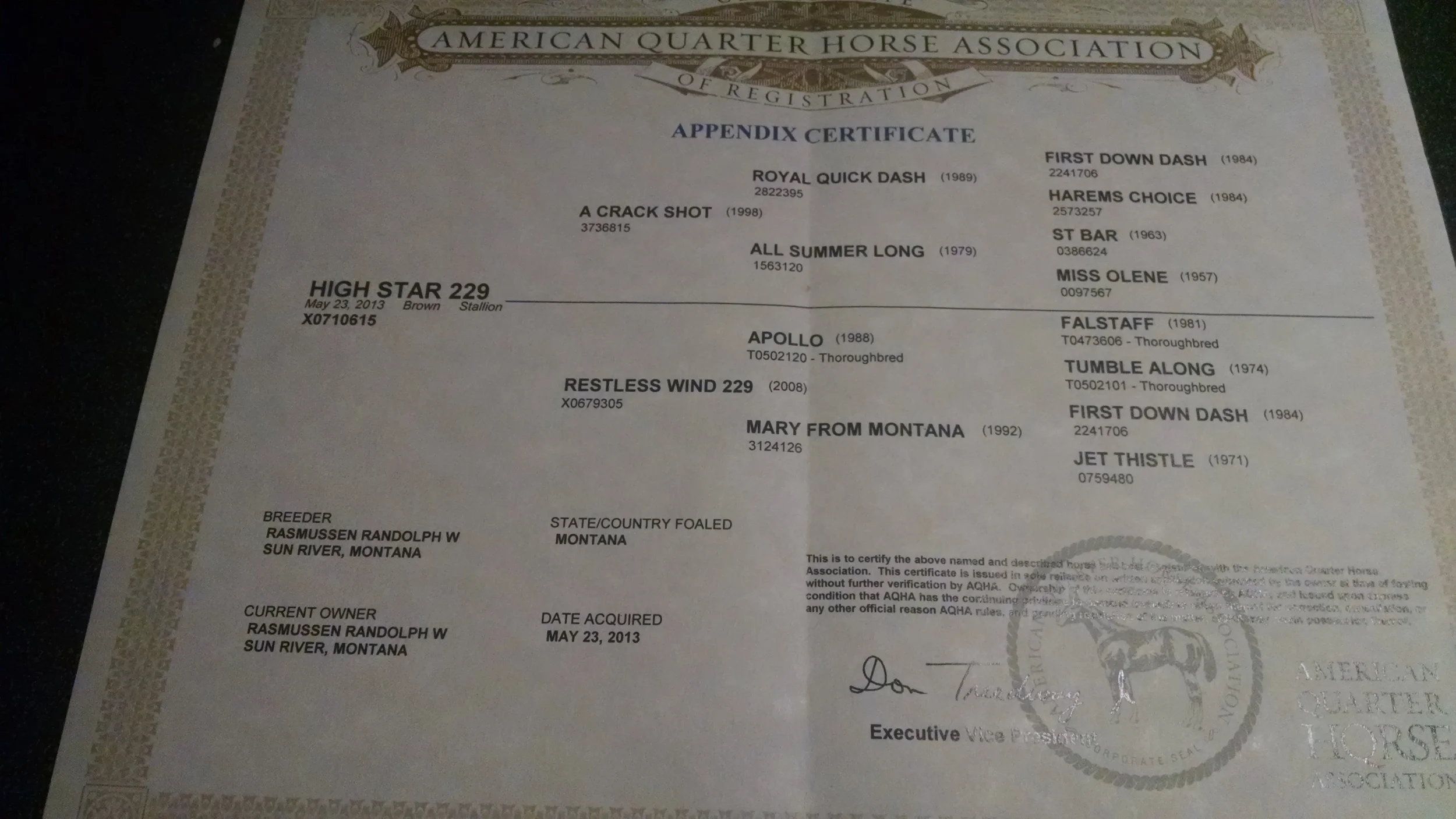 HighStar299Papers.jpg