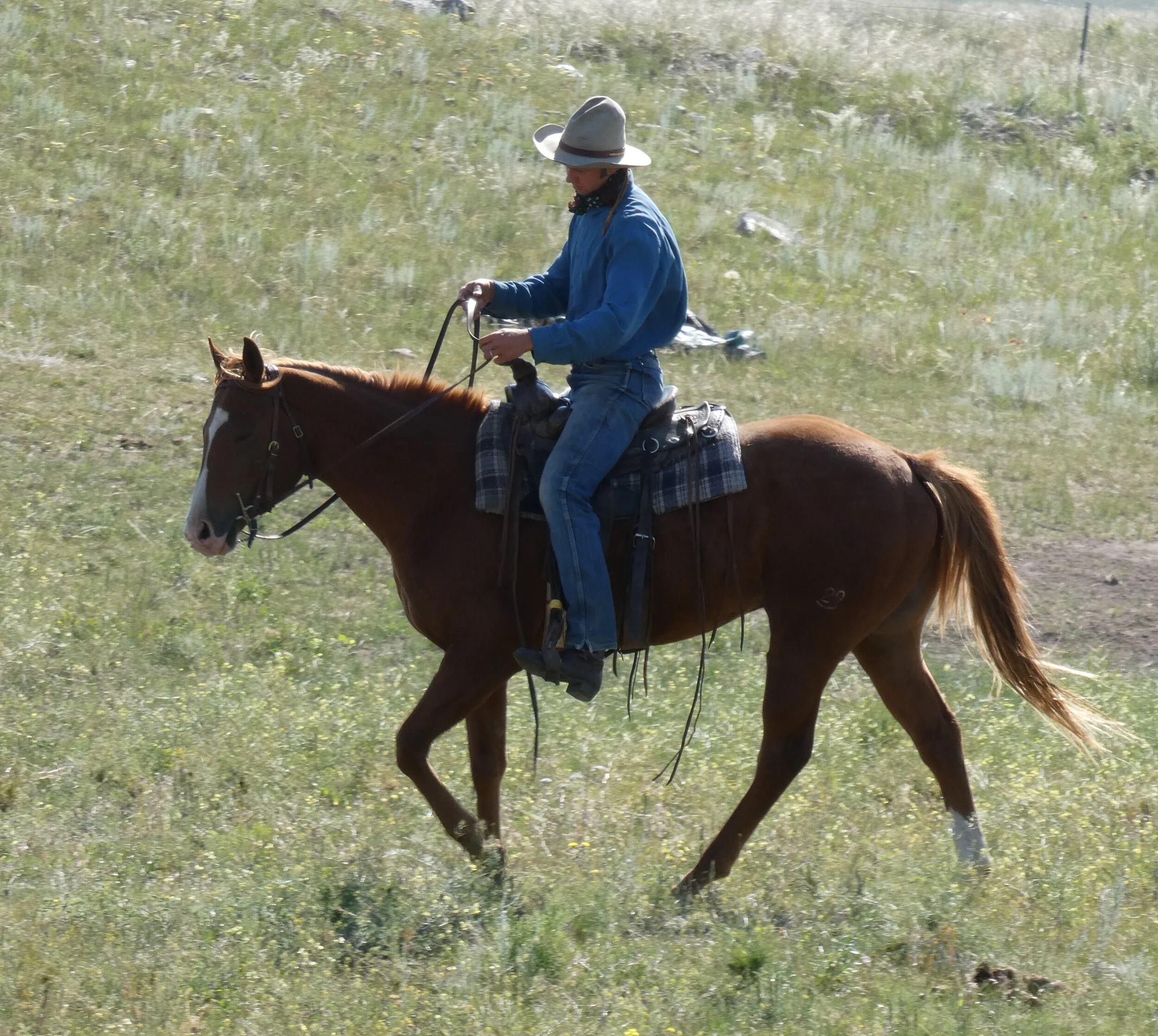 P1000631 (2).JPG