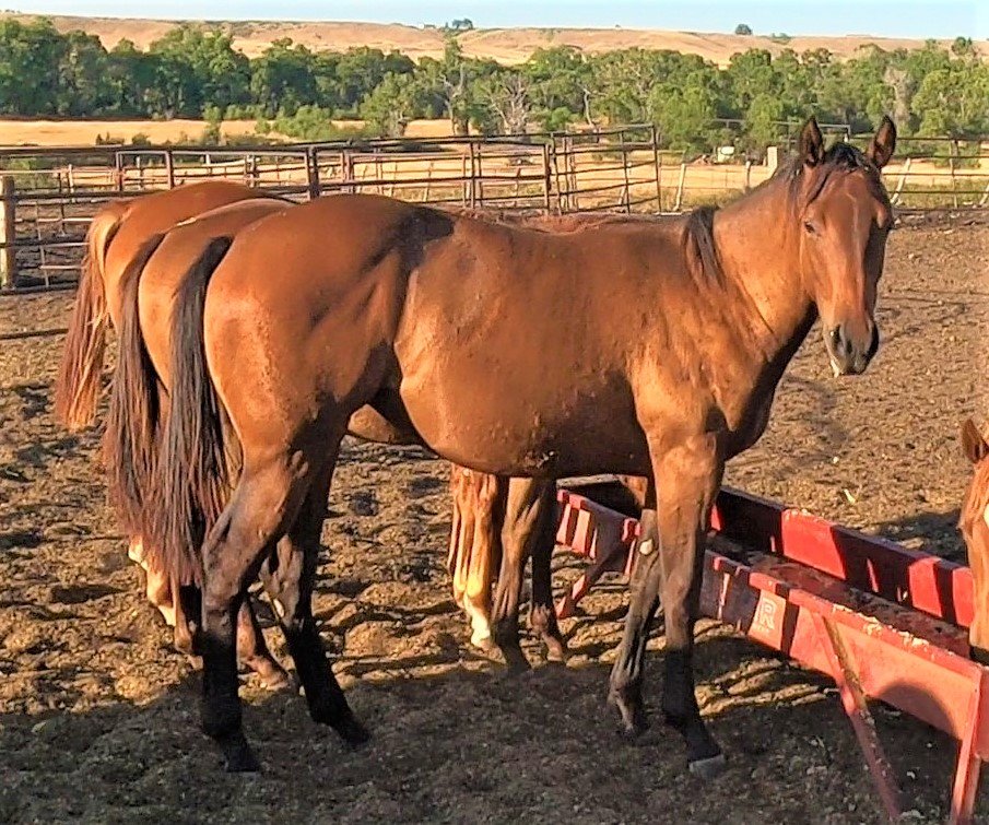 GH010107 - frame at 0m35s (2).jpg