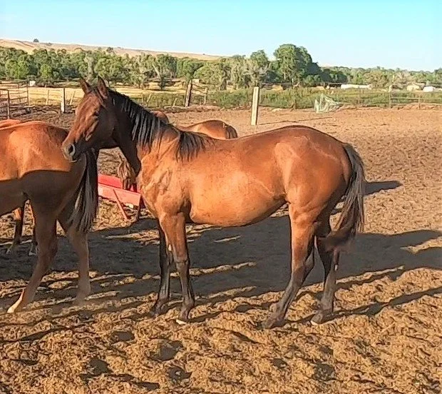 GH010111 - frame at 0m1s (2).jpg