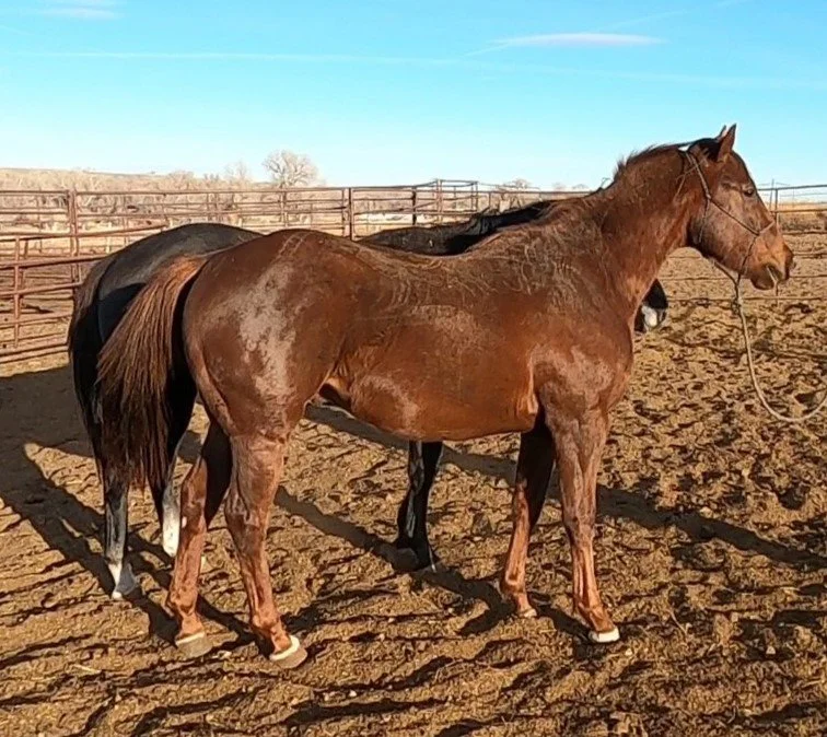 GH010285 - frame at 0m31s.jpg