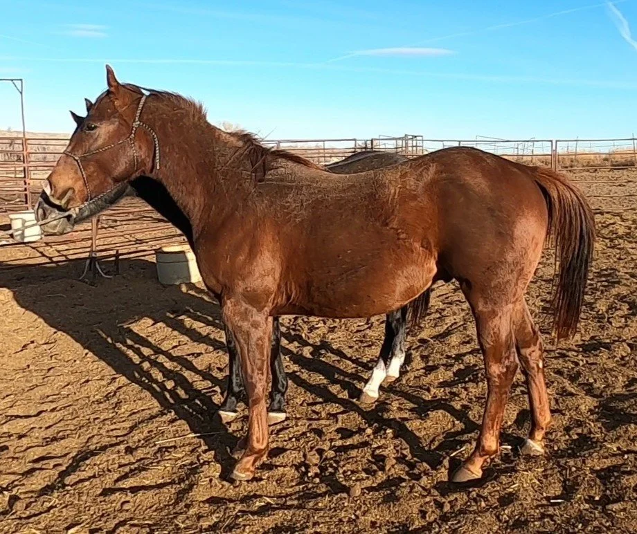 GH010285 - frame at 0m4s.jpg