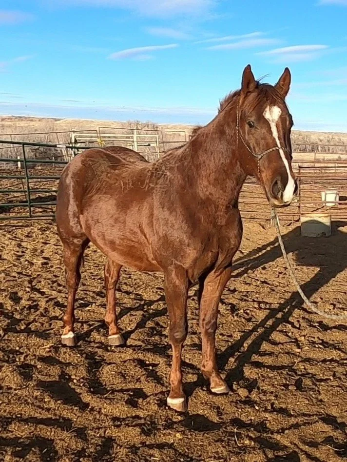 GH010285 - frame at 0m59s.jpg