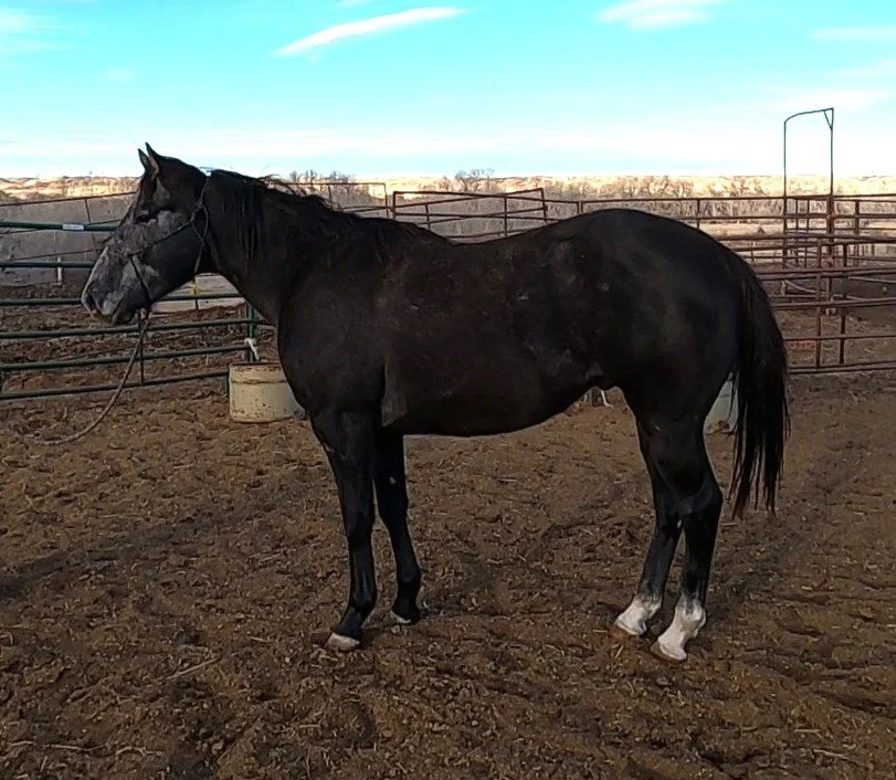 GH010290 - frame at 0m46s.jpg