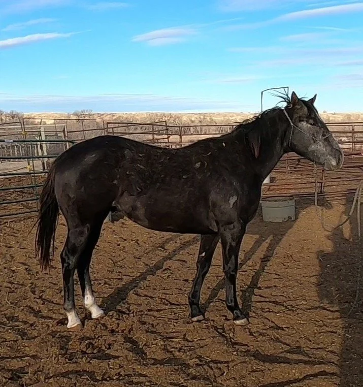 GH010290 - frame at 0m3s.jpg