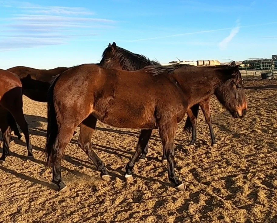 GH010294 - frame at 0m58s.jpg