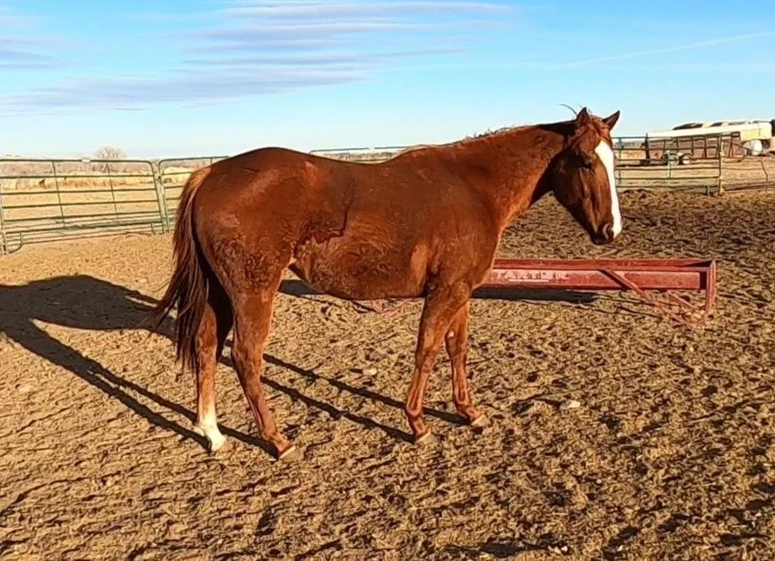 GH010294 - frame at 1m32s.jpg