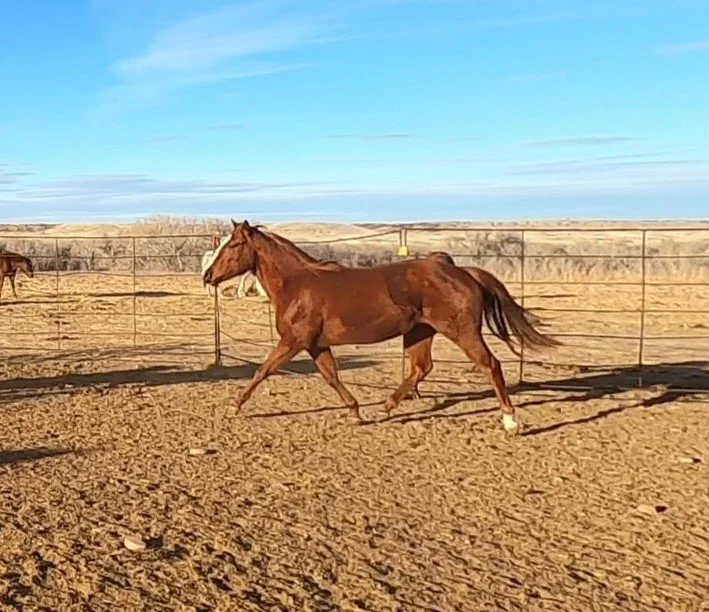 GH010294 - frame at 2m35s.jpg