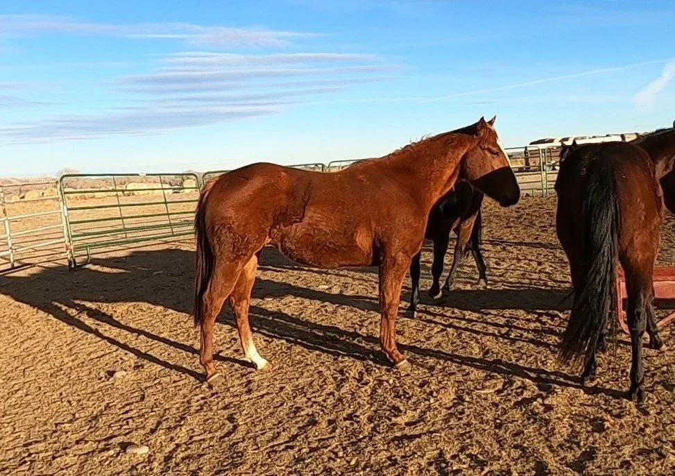 GH010294 - frame at 3m16s.jpg