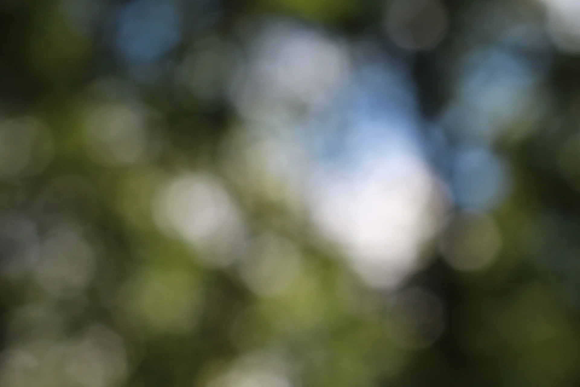 bokeh-862559_1920.jpg