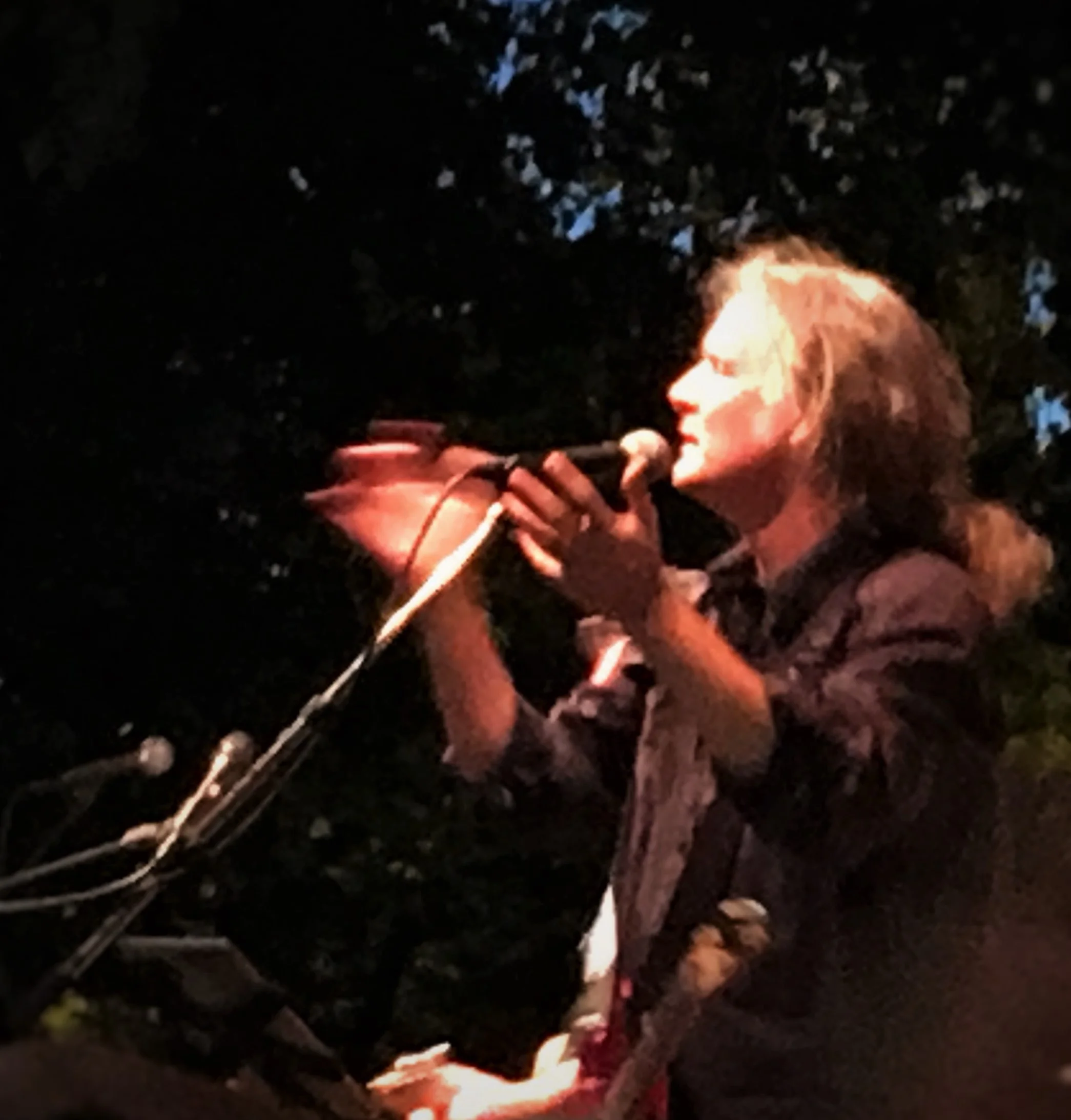 John Kurzweg Band @  The Cowgirl BBQ - Santa Fe