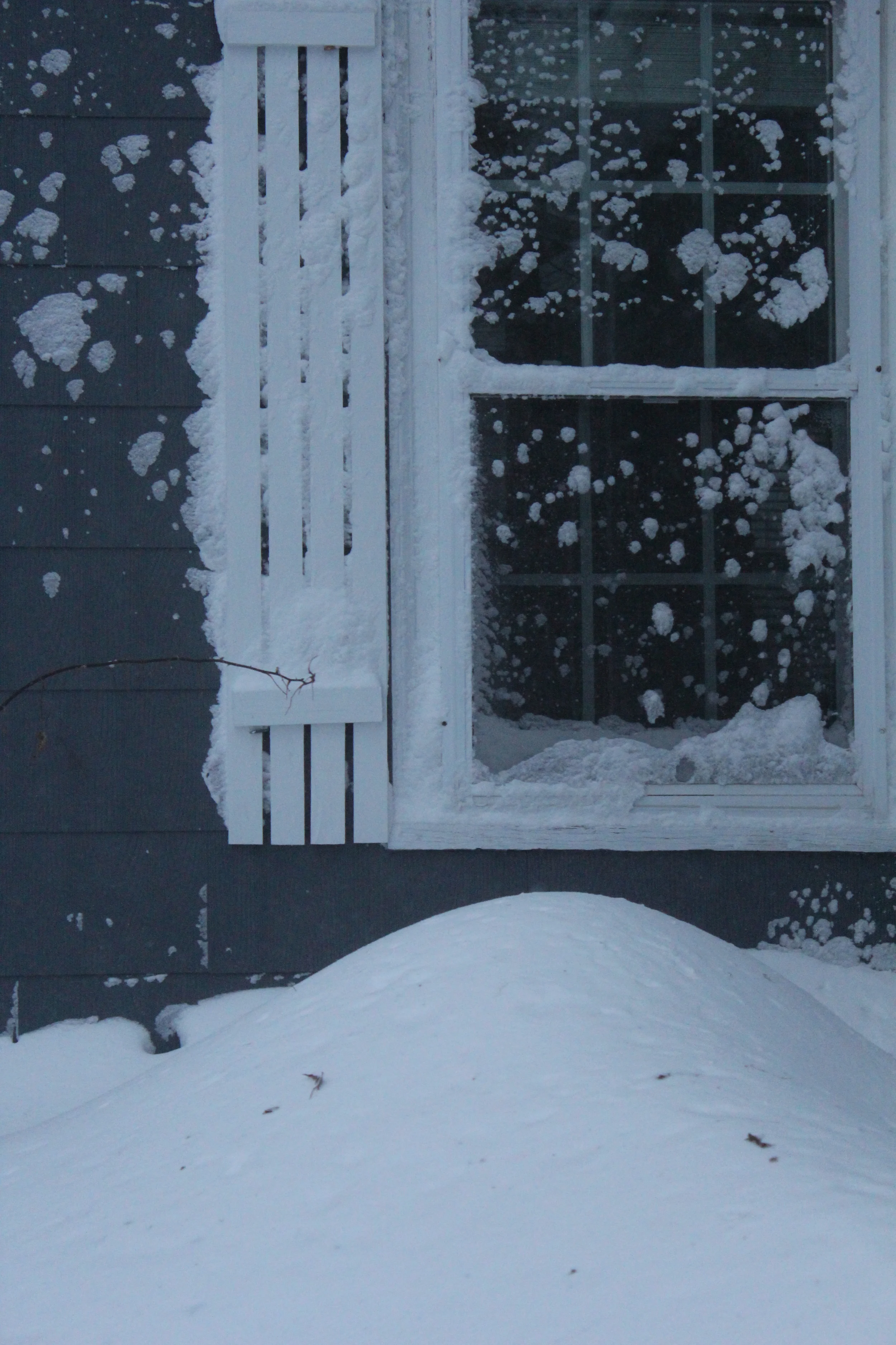 This is just from today's nor'easter.