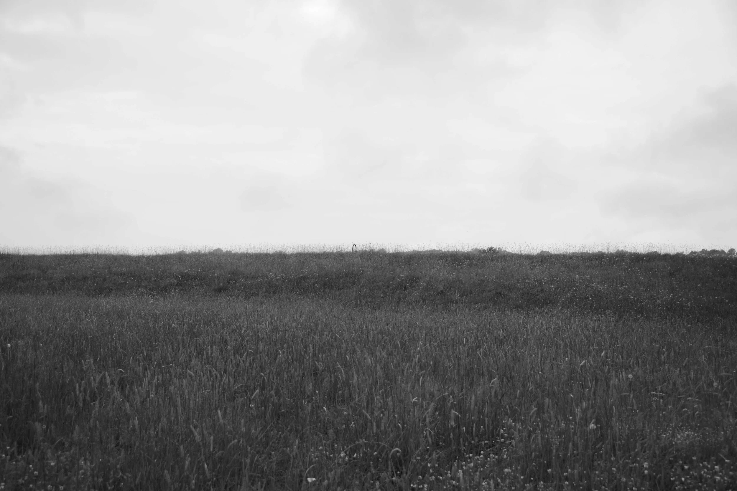 _DSC9303_1.jpg