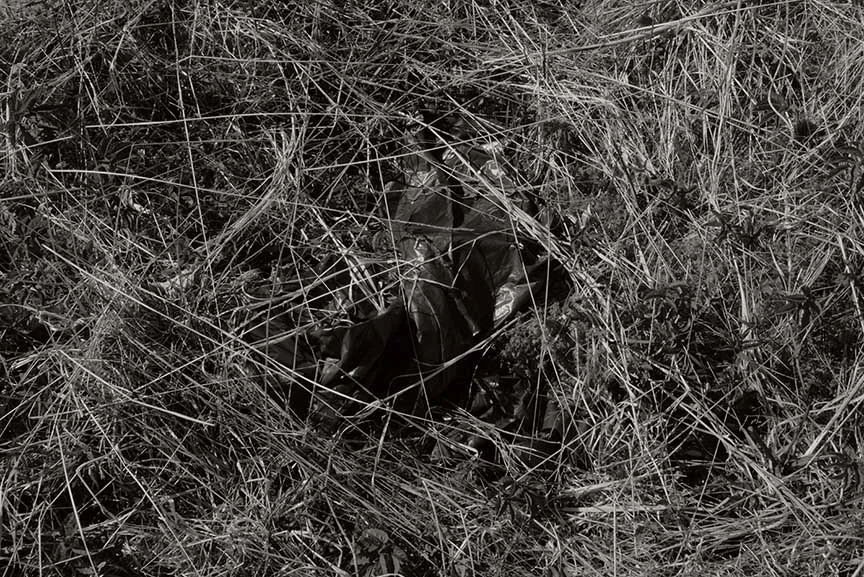 DSC_0210.jpg