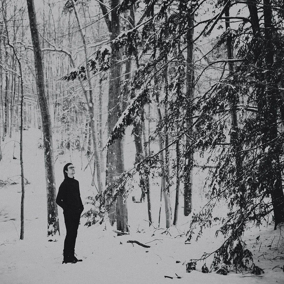 Lyrics — The Arcadian Wild