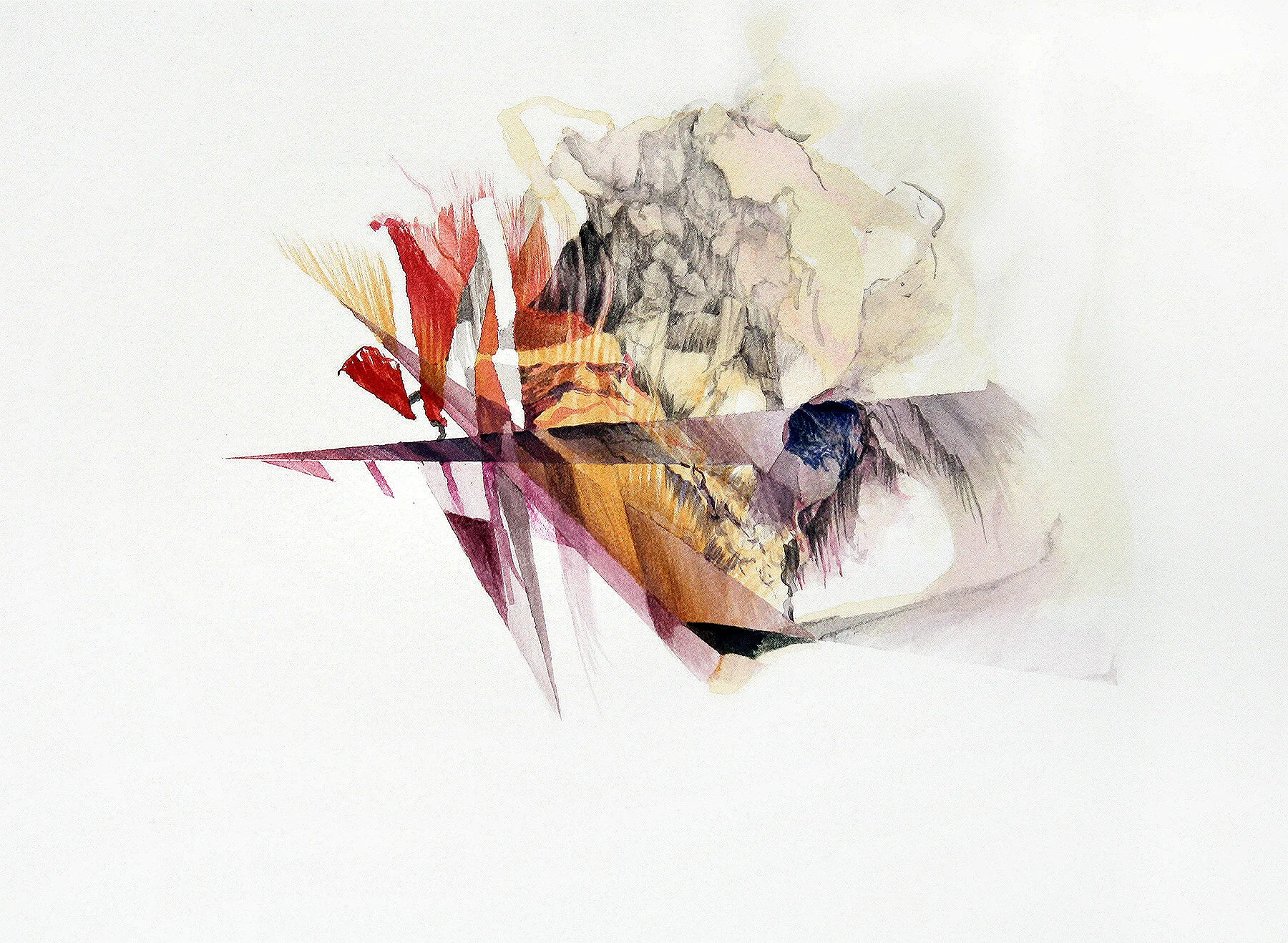 Plank watercolour and ink on paper 11" x 15"