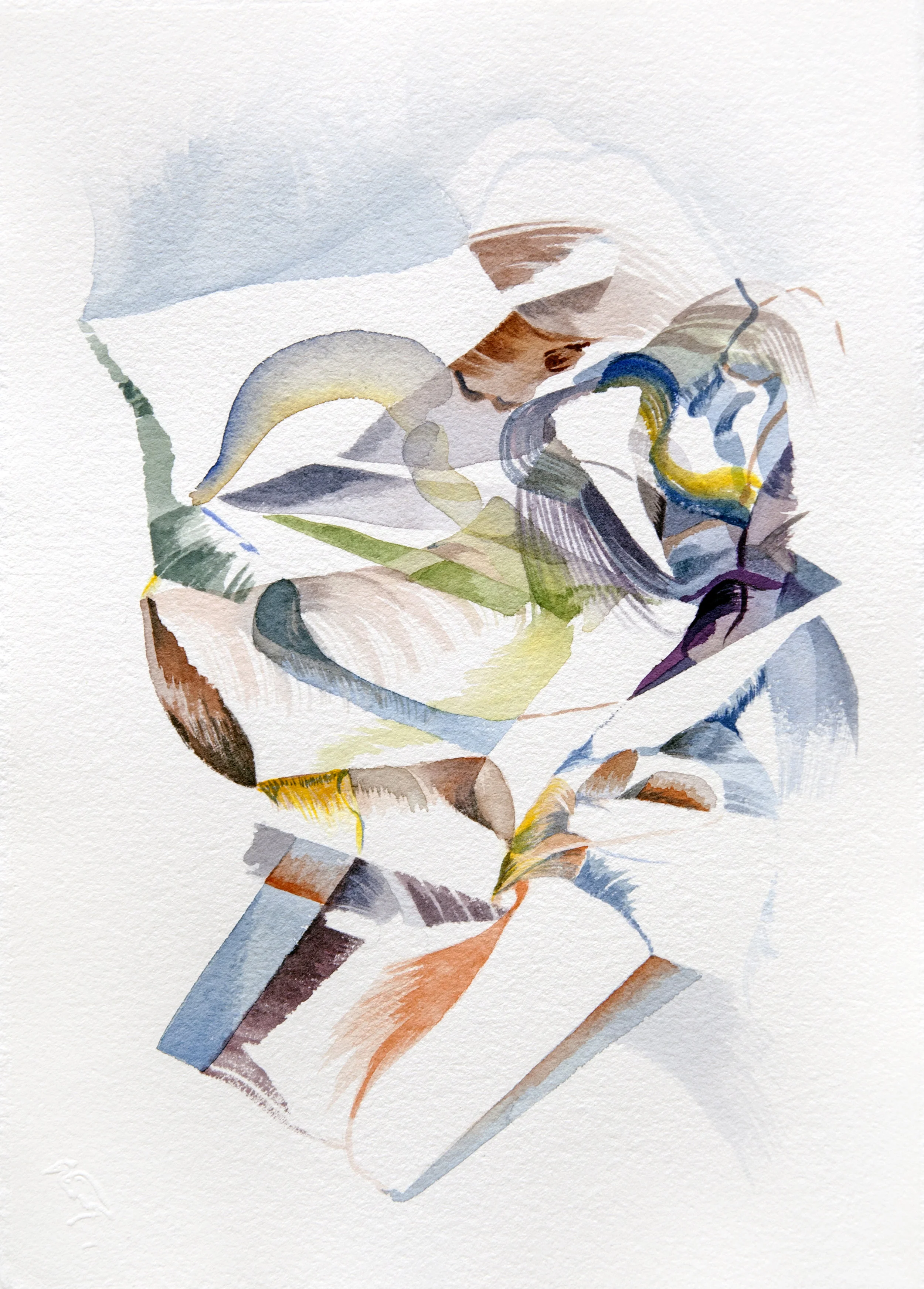Covert Antics watercolour & ink on paper 12" x 8.5"