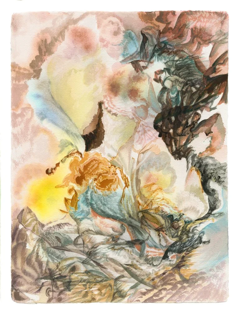 SOLO EXHIBITION - Andrew Rafacz Gallery, Chicago, IL, USA