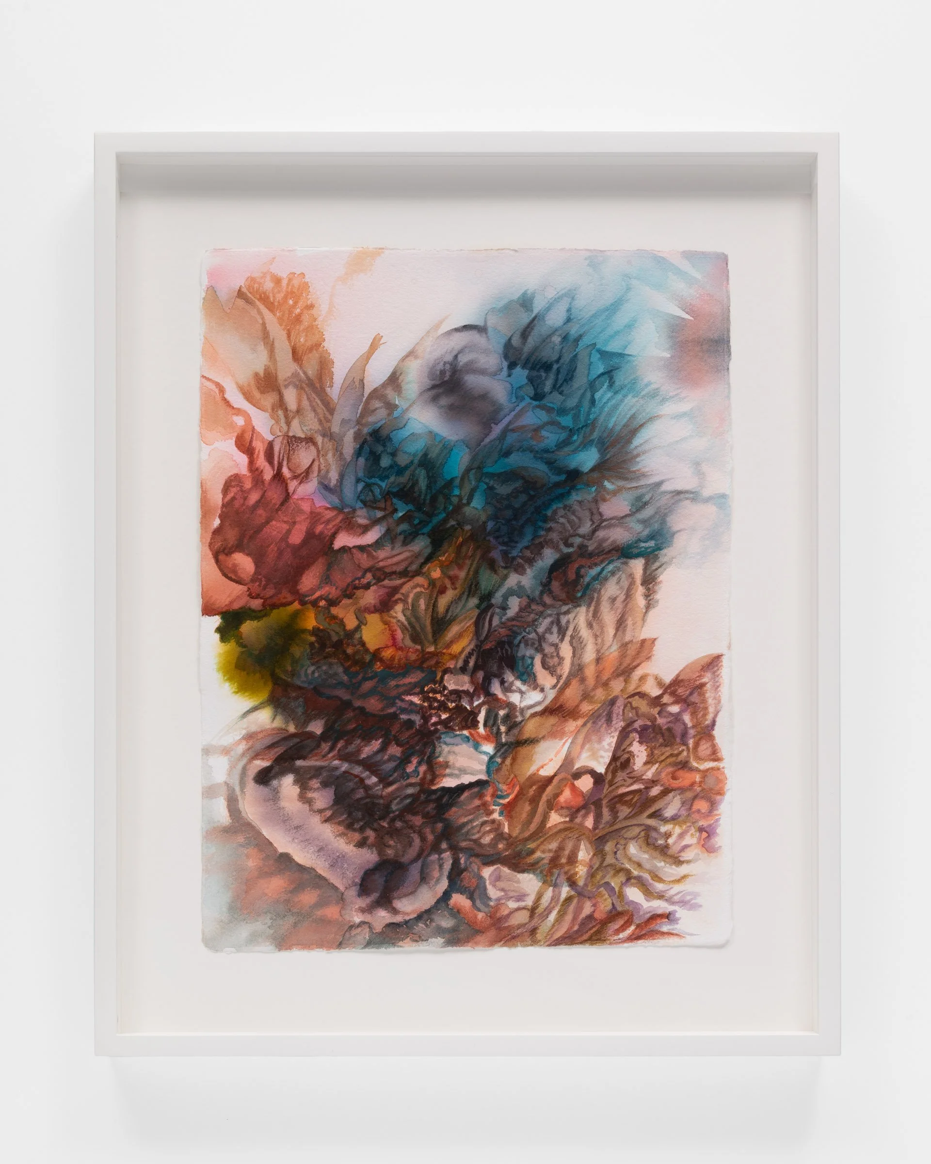 SOLO EXHIBITION - Andrew Rafacz Gallery, Chicago, IL, USA
