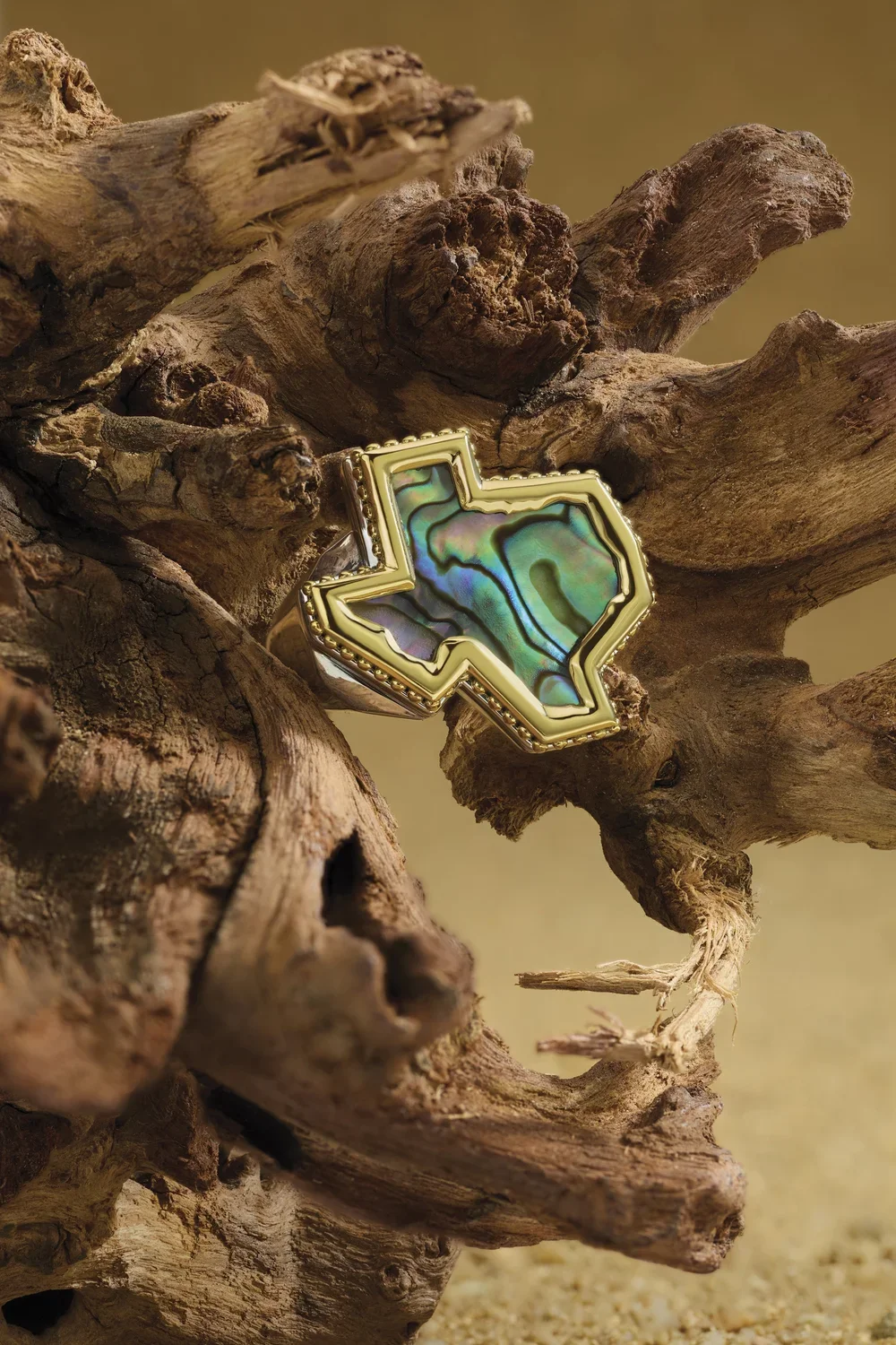 Fall24_Texas_Abalone_Driftwood.webp