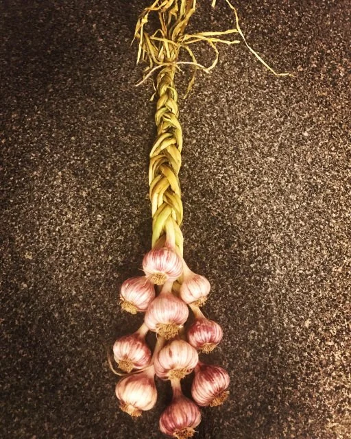 Garlic Braid