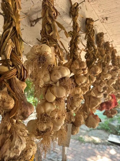 garlic braids.jpg