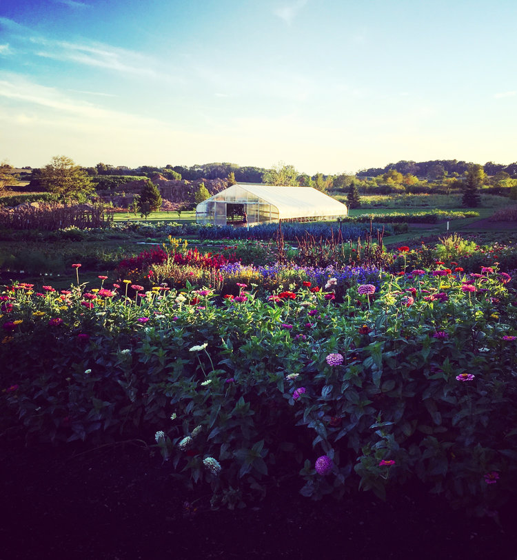 Bordered by edible flowers, the vast garden and its greenhouse filled with tomato varieties are a dream come true for James Bakke.