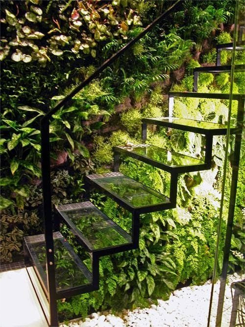  Plantes et herbes intégré dans les escaliers 