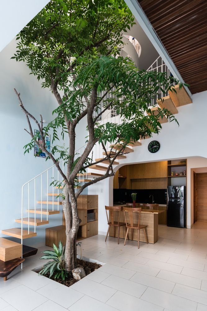  Modern house with an integrated tree in the house 